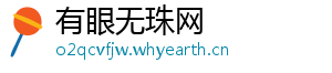 有眼无珠网